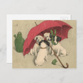 Vintag 4 Hunde unter Schirm Postkarte (Vorne/Hinten)