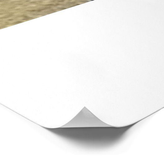 Vintag 4. Juli Vintage Poster (Ecke)