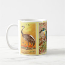 Vintag 4 Tropical Bird Illustration Saturn Bower