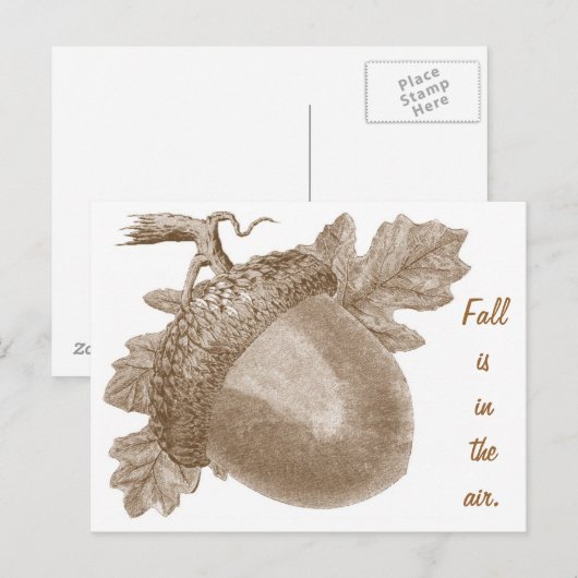 Vintag Acorn Postkarte (Vorne/Hinten)