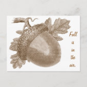 Vintag Acorn Postkarte (Vorderseite)