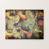 Vintag Actiniae Puzzle von Ernst Haeckel (Horizontal)