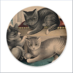 Vintag Adorable Kittens Lithograph Keramikknauf