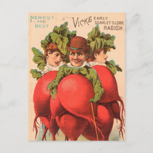 Vintag: Agrarwerbung - Postkarte