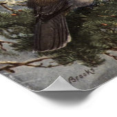 Vintag Allan Brooks Gray Jay Poster Art (Ecke)