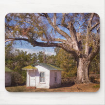 Vintag Altes Florida Rustikales Motel Cabins Straß