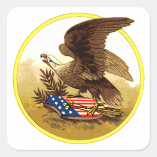 Vintag American Bald Eagle Quadratischer Aufkleber