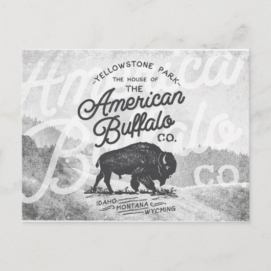 Vintag American Buffalo Montana Travel Postkarte (Vorderseite)