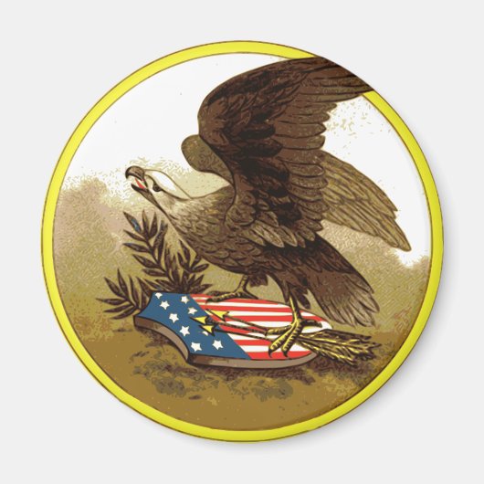 Vintag American Eagle Magnet (Vorne)