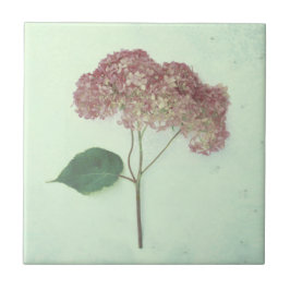 Vintag antike Aquamarine Rosa Hydrangea Land Flora Fliese