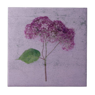 Vintag antike Lila Hydrangea Land Floral Fliese