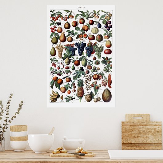 Vintag antikes französisches Fruchtdruckposter Poster (Küche)