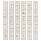 Vintag apothecary Spice Labels (Vorderseite)
