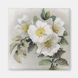Vintag Apple Blossom Magnet