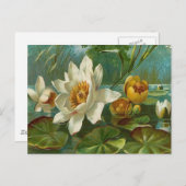 Vintag, aquatische Blume, Ehefrau Geburtstag Postkarte (Vorne/Hinten)