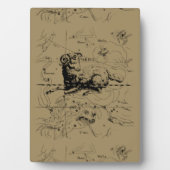 Vintag Aries Sternbild Karte Hevelius 1690 Fotoplatte (Vorderseite)