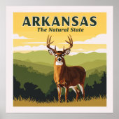 Vintag Arkansas Poster (Vorne)