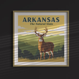 Vintag Arkansas Poster