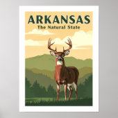 Vintag Arkansas Poster (Vorne)