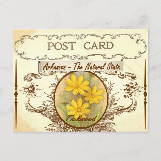Vintag Arkansas Staat Blume Postkarte (Vorderseite)