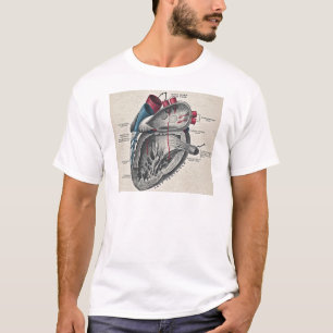 Vintag Art Anatomisches Herzdiagramm - Wissenschaf T-Shirt