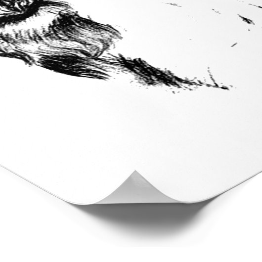 Vintag Art English Springer Spanish Poster (Ecke)