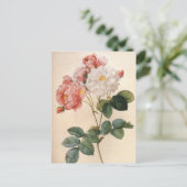 Vintag Art Pink Rose Blume Postkarte (Stehend Vorderseite)