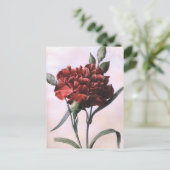 Vintag Art Red Carnation Blumen Postcard Postkarte (Stehend Vorderseite)
