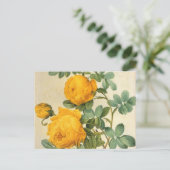 Vintag Art Yellow Rose Postkarte (Stehend Vorderseite)