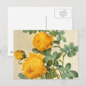 Vintag Art Yellow Rose Postkarte (Vorne/Hinten)
