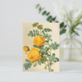 Vintag Art Yellow Rose Postkarte (Stehend Vorderseite)