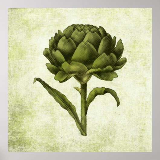 Vintag Artichoke Poster (Vorne)