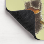 Vintag Audubon Birds Troupial Orioles Mousepad (Ecke)