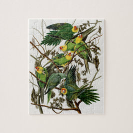 Vintag Audubon Carolina Parakeet Bird Malerei Puzzle