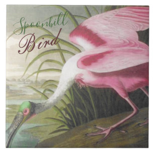 Vintag Audubon Illustration Spoonbill Bird Fliese
