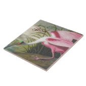 Vintag Audubon Illustration Spoonbill Bird Fliese (Seite)