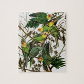 Vintag Audubon Malerei Carolina Parakeet Puzzle (Vertikal)
