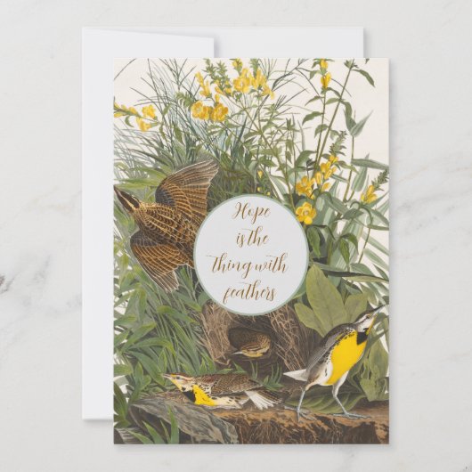 Vintag Audubon Meadowlark Print (Vorderseite)
