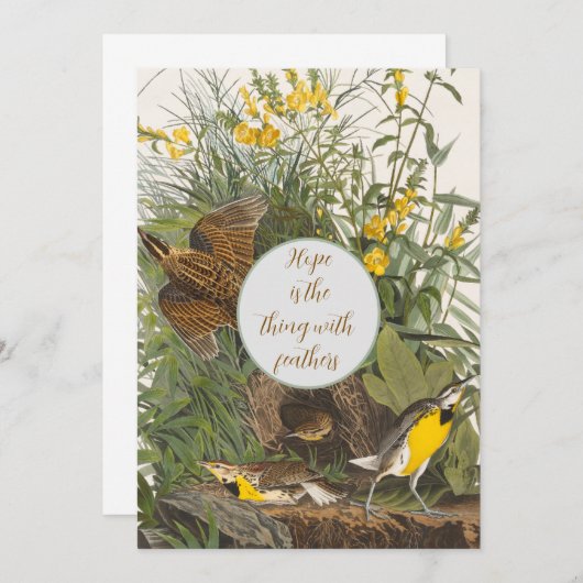 Vintag Audubon Meadowlark Print (Vorne/Hinten)