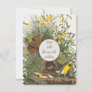 Vintag Audubon Meadowlark Print Postkarte