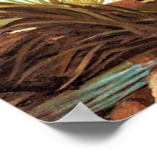 Vintag Audubon Poster (Ecke)