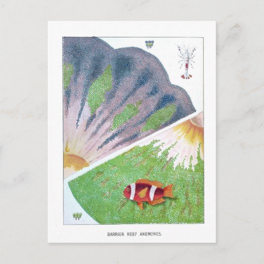 Vintag Australien Great Barrier Reef Travel Postkarte (Vorderseite)