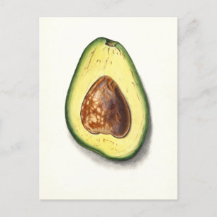 Vintag Avocado Botanische Illustration Postkarte