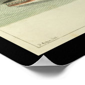 Vintag Balaena Fin Whale Print Poster (Ecke)