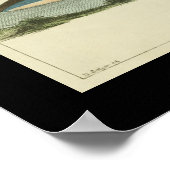 Vintag Balaena Physalis Whale Print Poster (Ecke)