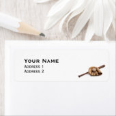 Vintag Baseball (Insitu)