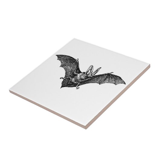 Vintag Bat Gothic Vampire Fliese (Seite)