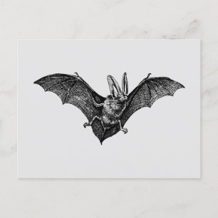 Vintag Bat Gothic Vampire Postkarte