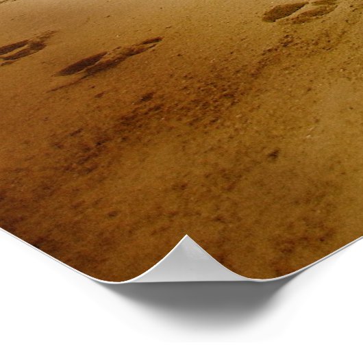 Vintag Beach Poster (Ecke)