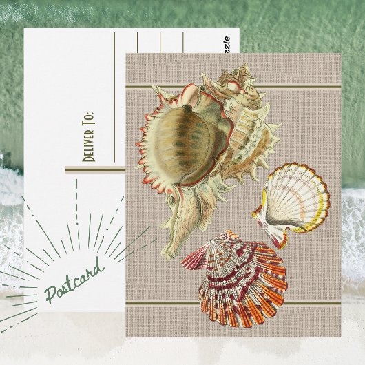 Vintag Beach Seashells Postcard Postkarte